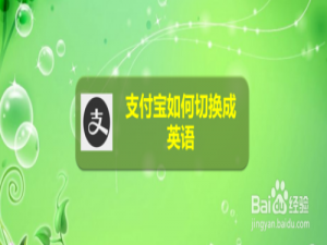 关于支付宝怎么切换成英语。