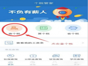 关于在个税管家中查询个税的方法我来说说。