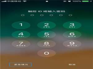 关于在iphone8中查看医疗急救卡信息的详细步骤。