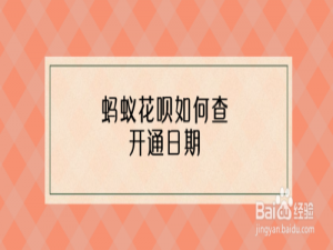 关于怎么看花呗什么时候开的。