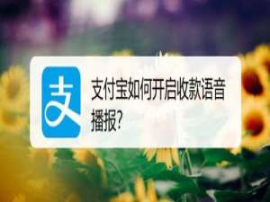 关于支付宝收款语音播报怎么打开。
