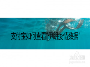 关于支付宝在哪查看“伊朗疫情数据”。