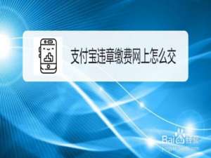 关于支付宝怎么缴违章罚款。