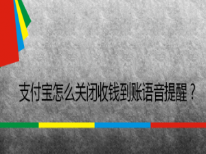 关于支付宝在哪关闭到账语音提醒。