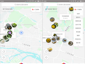 花伴侣不仅能识花，花朵百科信息一目了然