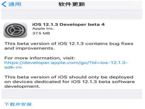 后悔升级iOS12.1.3beta4