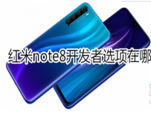 红米note8开发者选项在什么位置。