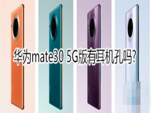 华为mate30 5G版有没有耳机孔。