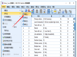 IBM SPSS Statistics功能使用教学：顺利导入Excel数据