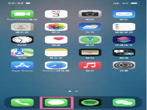 iphone13打电话没网络如何设置。