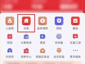 京东白条怎么提前还款。