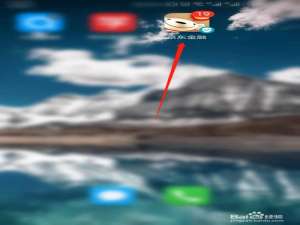 京东金融如何更改支付扣款顺序。