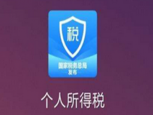 经验分享个人所得税密码更改方法步骤。