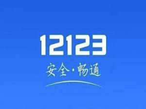 经验分享12123交管程序出错是什么原因。