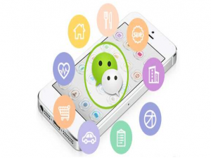 经验分享如何向微信视频号作者发送私信。