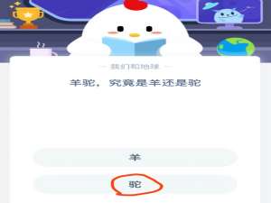 经验分享羊驼是羊还是驼。