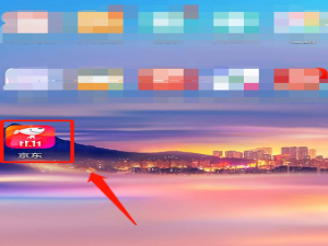 经验分享京东在什么地方查看快递订单号。