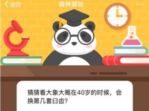 经验分享猜猜看大象大概在40岁的时候，会换第几套臼齿。