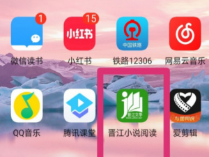 经验分享晋江小说阅读如何看已开启的隐私权限。