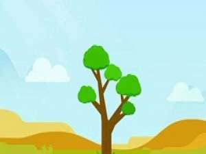 经验分享支付宝蚂蚁森林如何开启巡护。