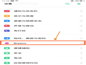 经验分享realmegt大师如何开启小布。