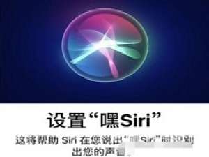 经验分享苹果12Siri没有声音怎么回事 苹果12Siri没有声音解决方法。
