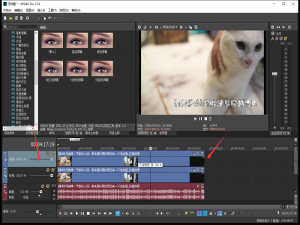 经验分享Vegas视频处理之去除原有字幕，进行二次创作。