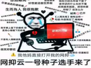 经验分享网愈云是什么梗。