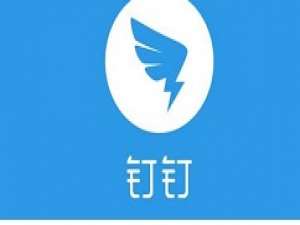 经验分享钉钉在群聊里发起赞的操作步骤