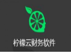 经验分享柠檬云财税安装的详细步骤