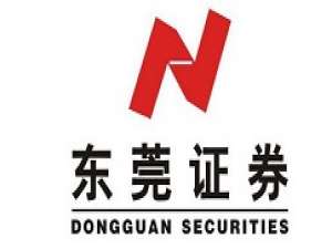 经验分享东莞证券财富通版通达信使用说明 东莞证券很小吗