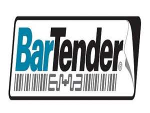 经验分享BarTender导入文本文档的图文步骤 经验分享列王纪下二十四章解经