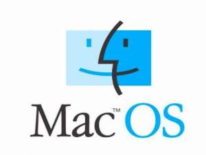 经验分享MacOS中如何使用ping命令