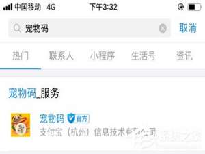 经验分享支付宝怎么定制宠物码