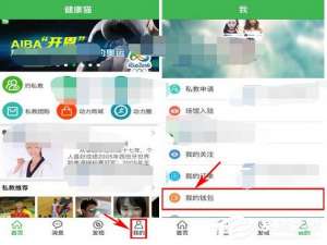 经验分享健康猫如何提现
