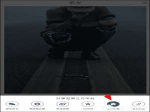 经验分享柴扉APP如何收藏文章