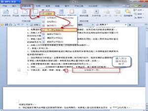 经验分享WPS中如何将页面设置为纵向