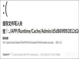 经验分享Linux下搭建网站提示缓存文件写入失败怎么办