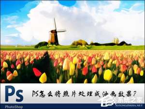 经验分享PS图片处理软件怎么将照片处理成油画效果