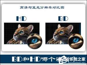经验分享BD和HD哪个清晰（hd和fhd哪个清晰）