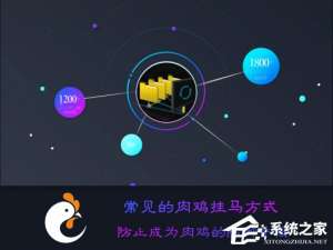 经验分享什么是肉鸡