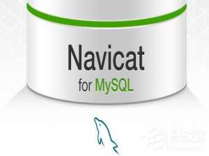 经验分享navicat