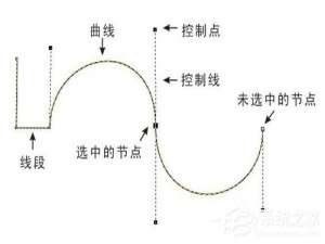 经验分享PS钢笔工具怎么用（ps钢笔工具怎么用画笔描边）