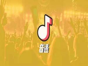 经验分享音遇出现记不住歌词详细处理方法