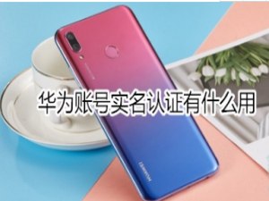 经验分享华为账号实名认证有哪些作用。