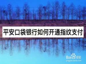 经验分享平安口袋银行怎么开通指纹支付。