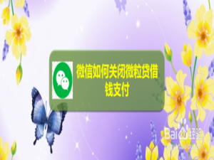 经验分享微信怎么关闭微粒贷借钱支付。