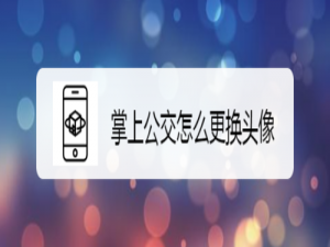 经验分享掌上公交怎么换头像。
