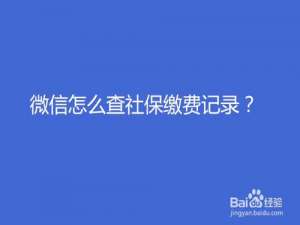 经验分享微信如何查社保缴费记录。