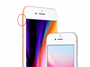 经验分享在iphone8中关闭相机声音的图文教程。